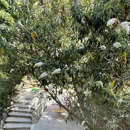 Au Balcon De La Basilique * בולון-סור-מאר